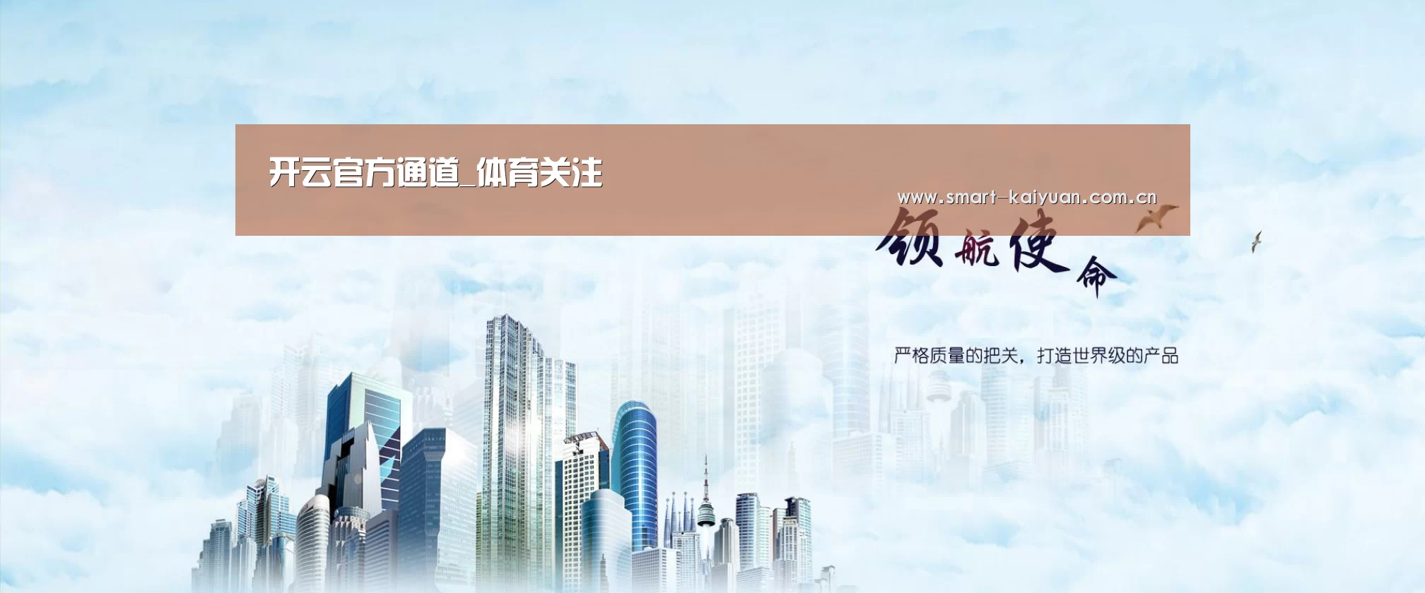 开云体育服务公司