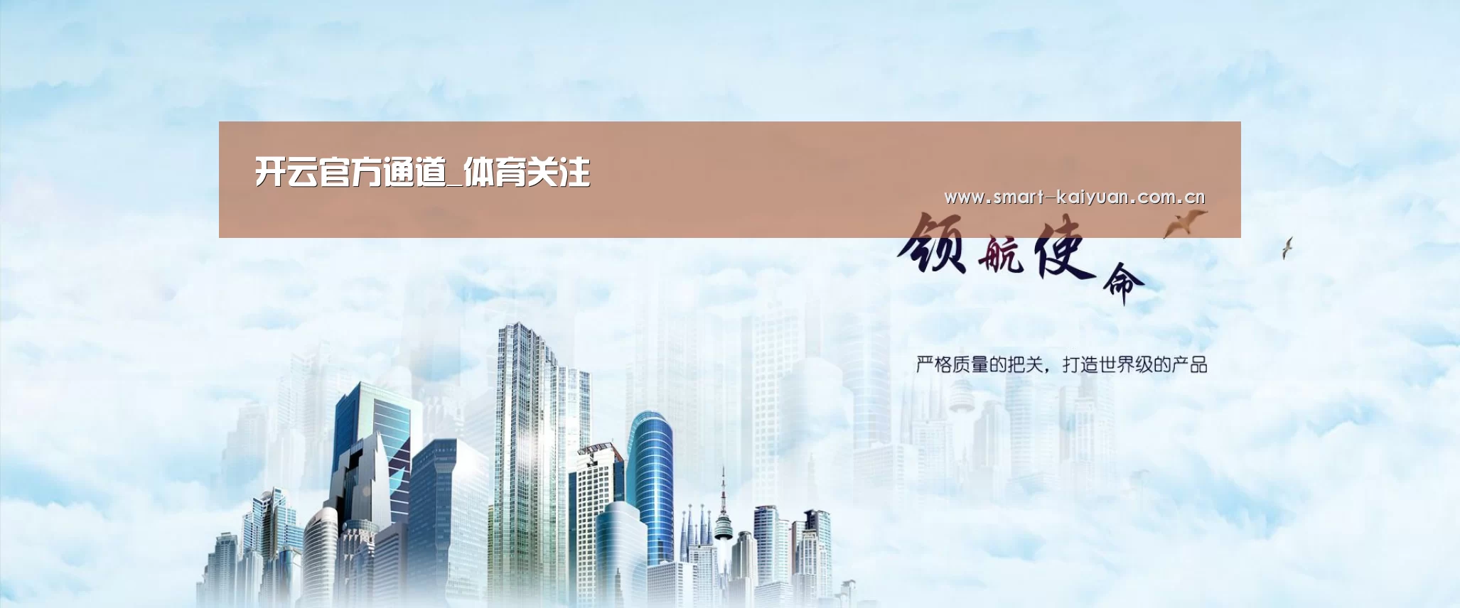 开云体育服务公司