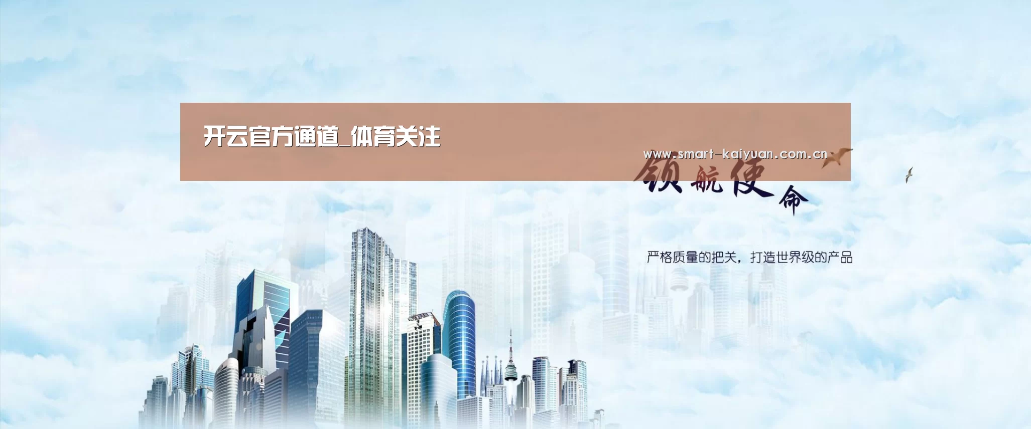 开云体育服务公司