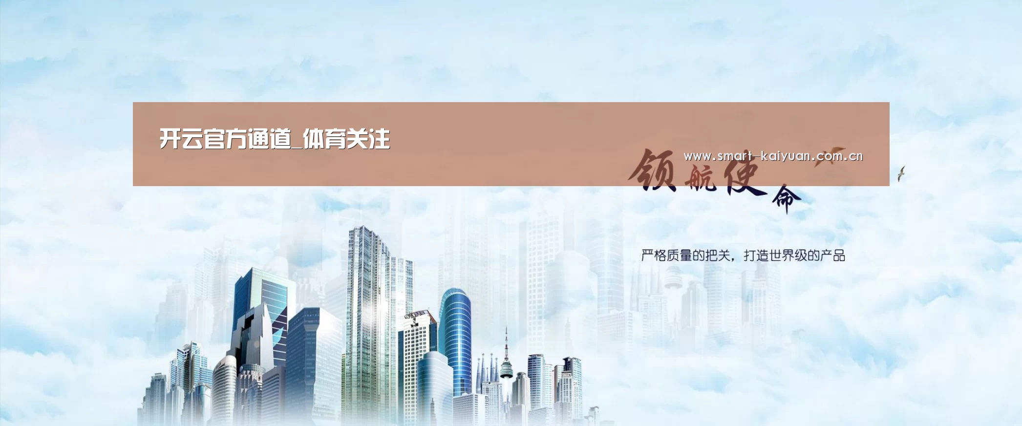 开云体育服务公司