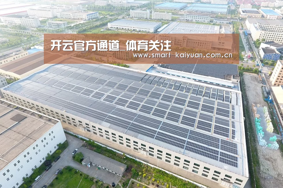 案例展示二