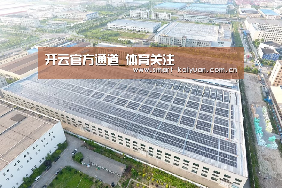 案例展示一