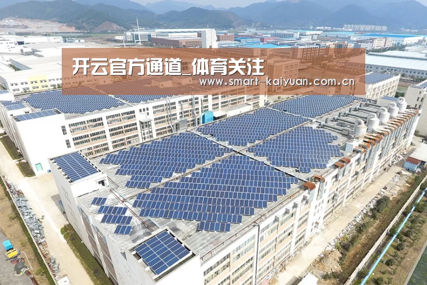 案例展示一