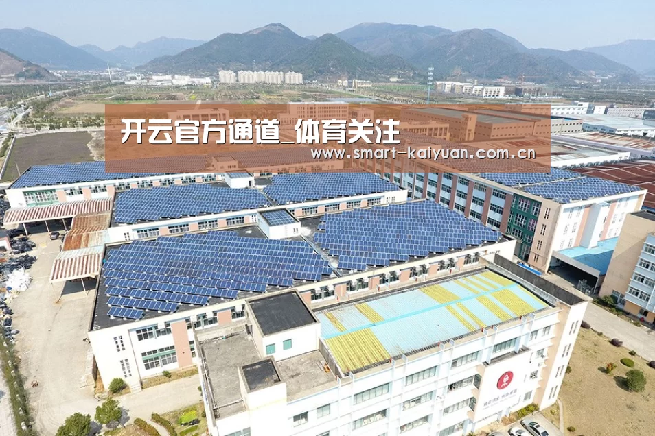 案例展示一