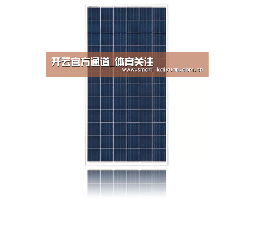 产品名称一