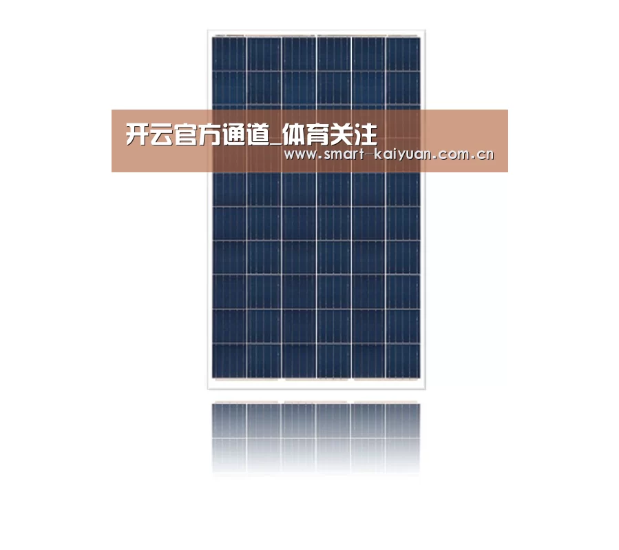产品名称一