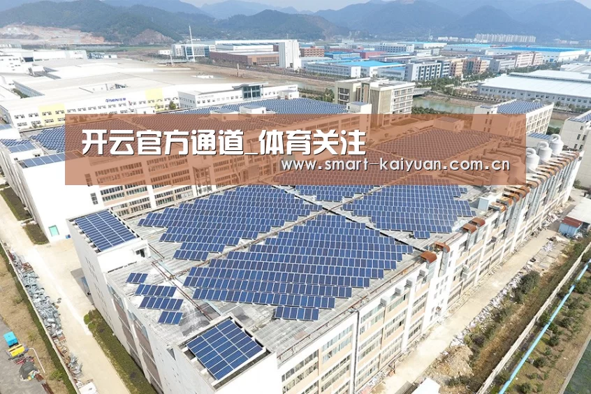 案例展示三