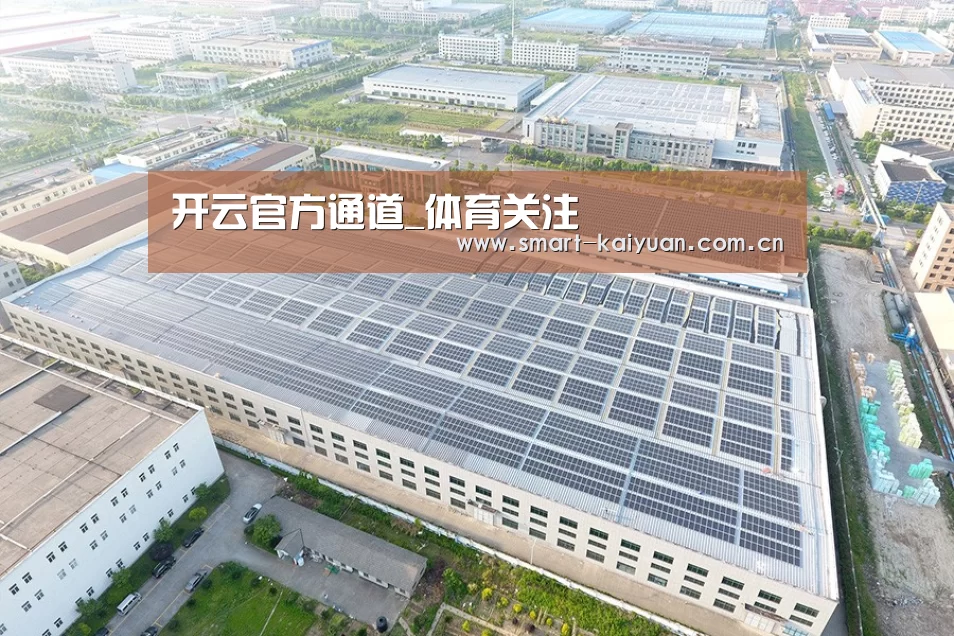 案例展示三