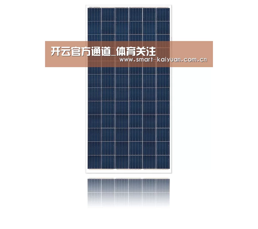 产品名称一