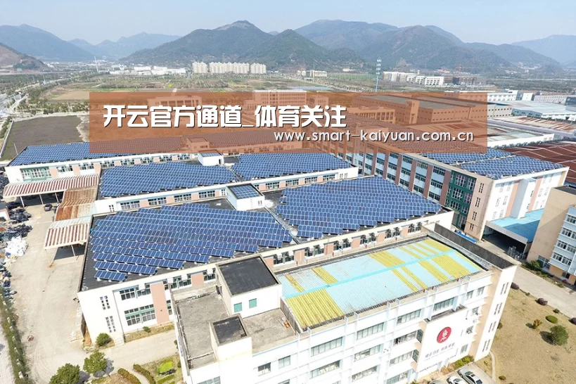 案例展示三