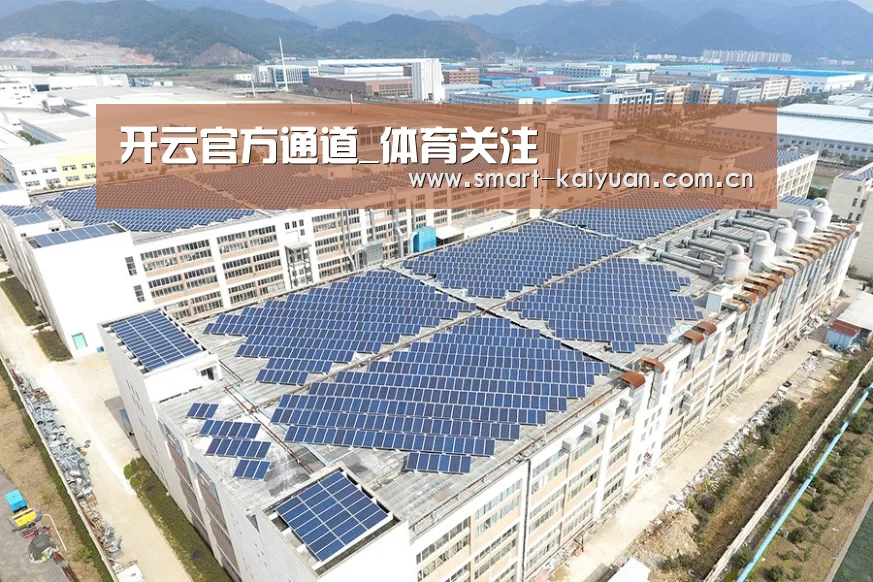 案例展示四