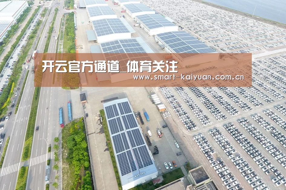 案例展示二