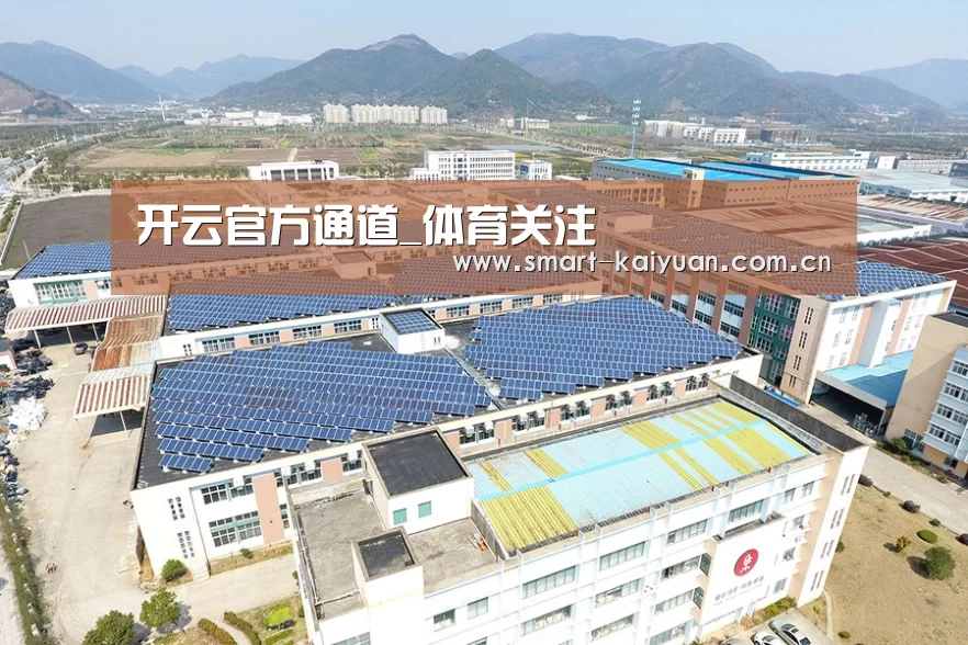 案例展示三