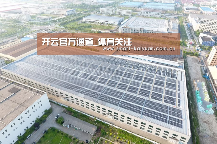 案例展示四