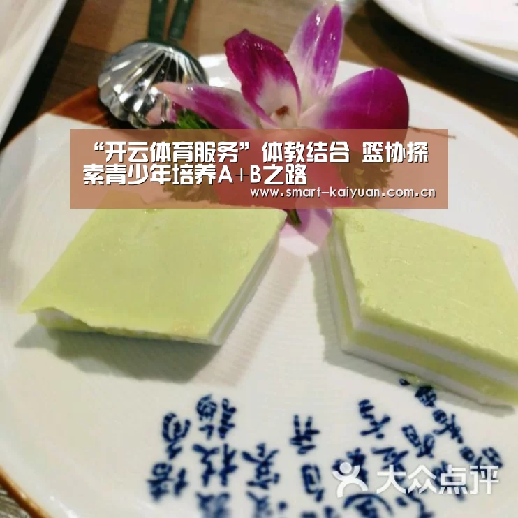 “开云体育服务”体教结合 篮协探索青少年培养A+B之路(图1) 开元
